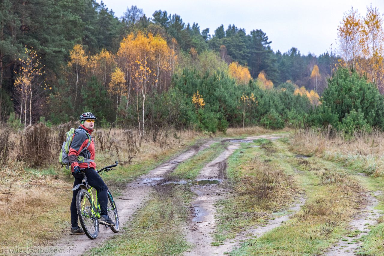 �� �����