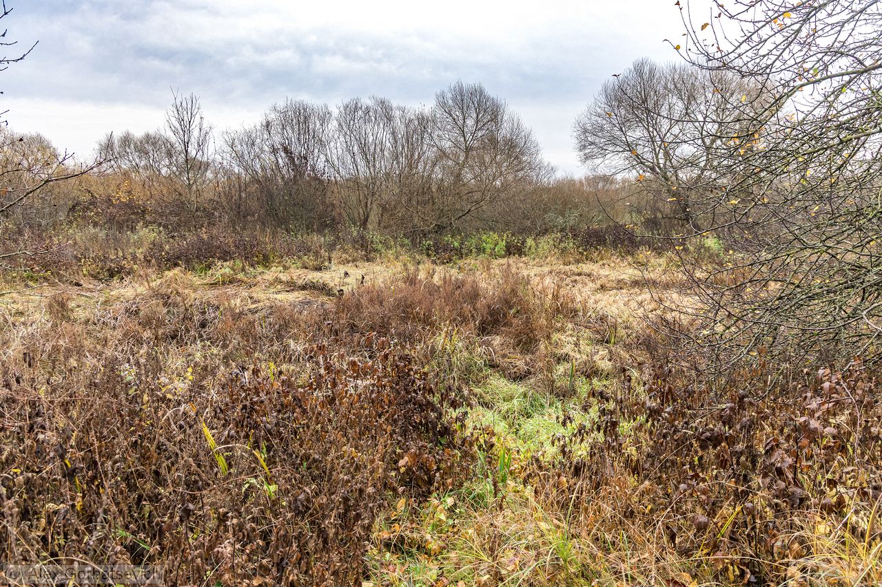 ����� � ����