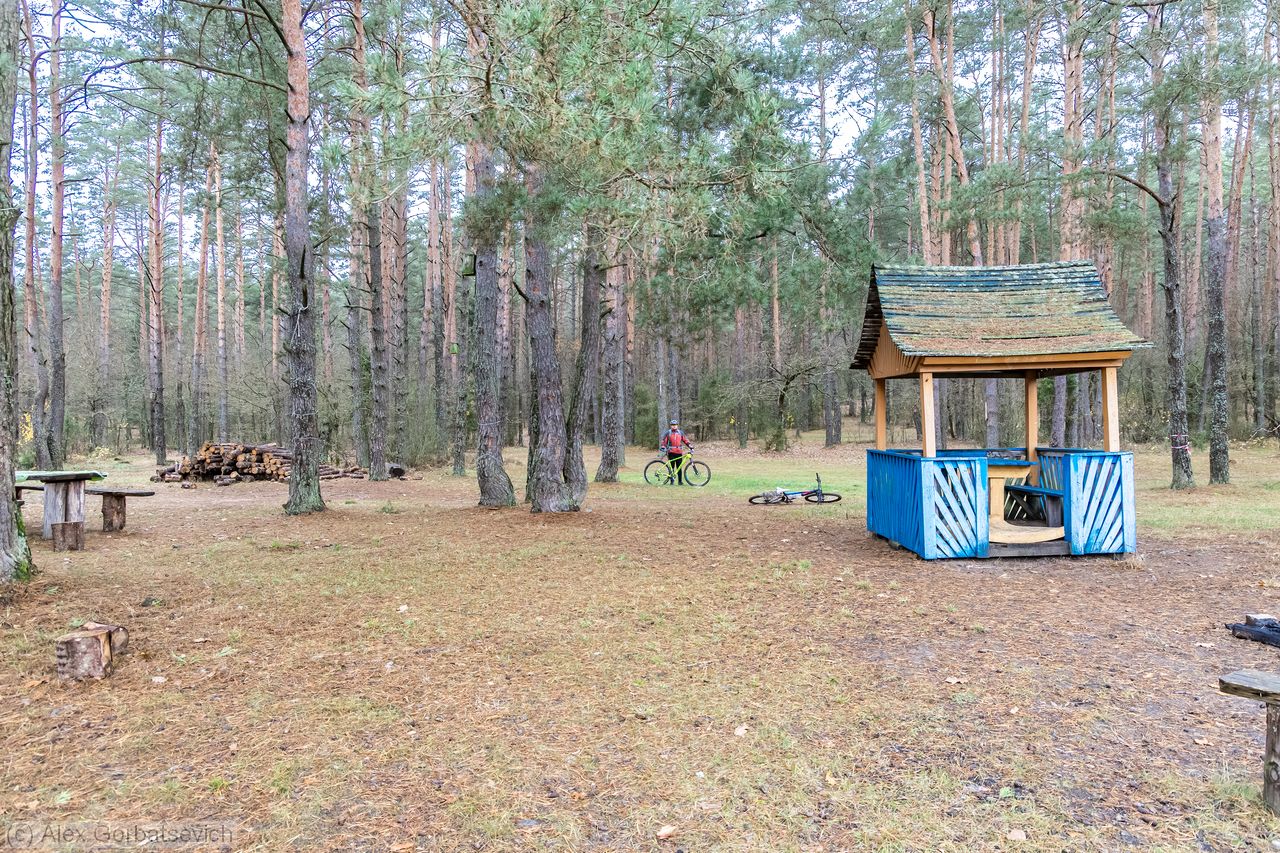 ����������