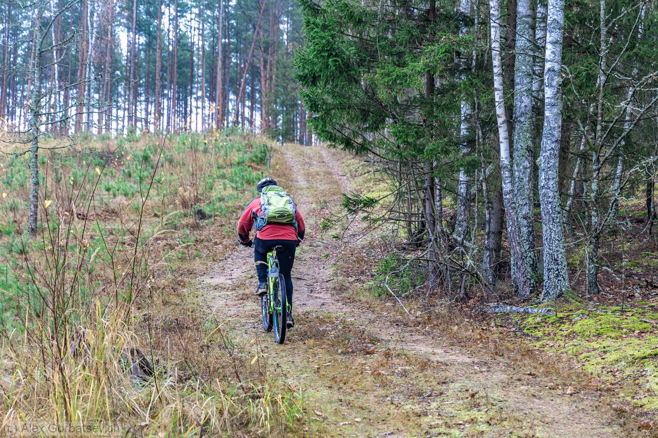 �� �������