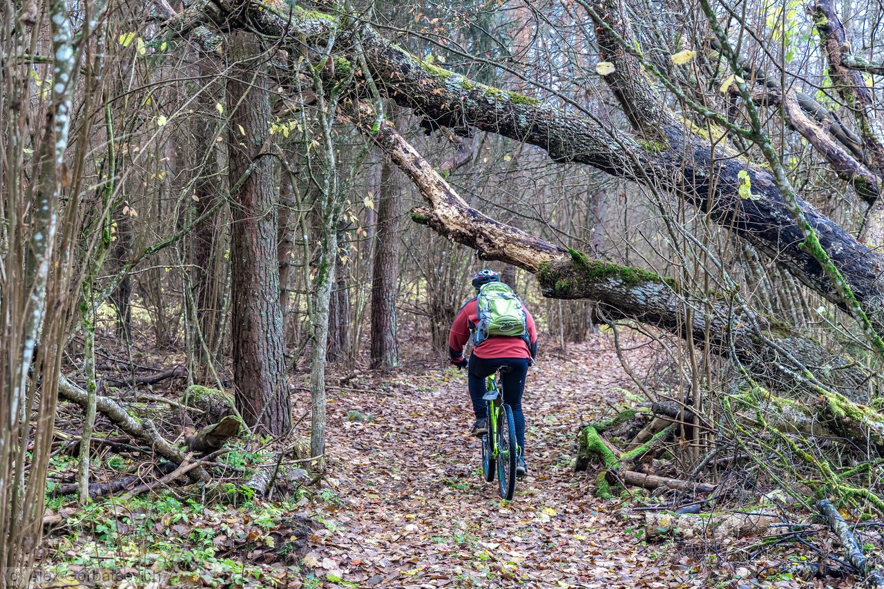 ��� �������