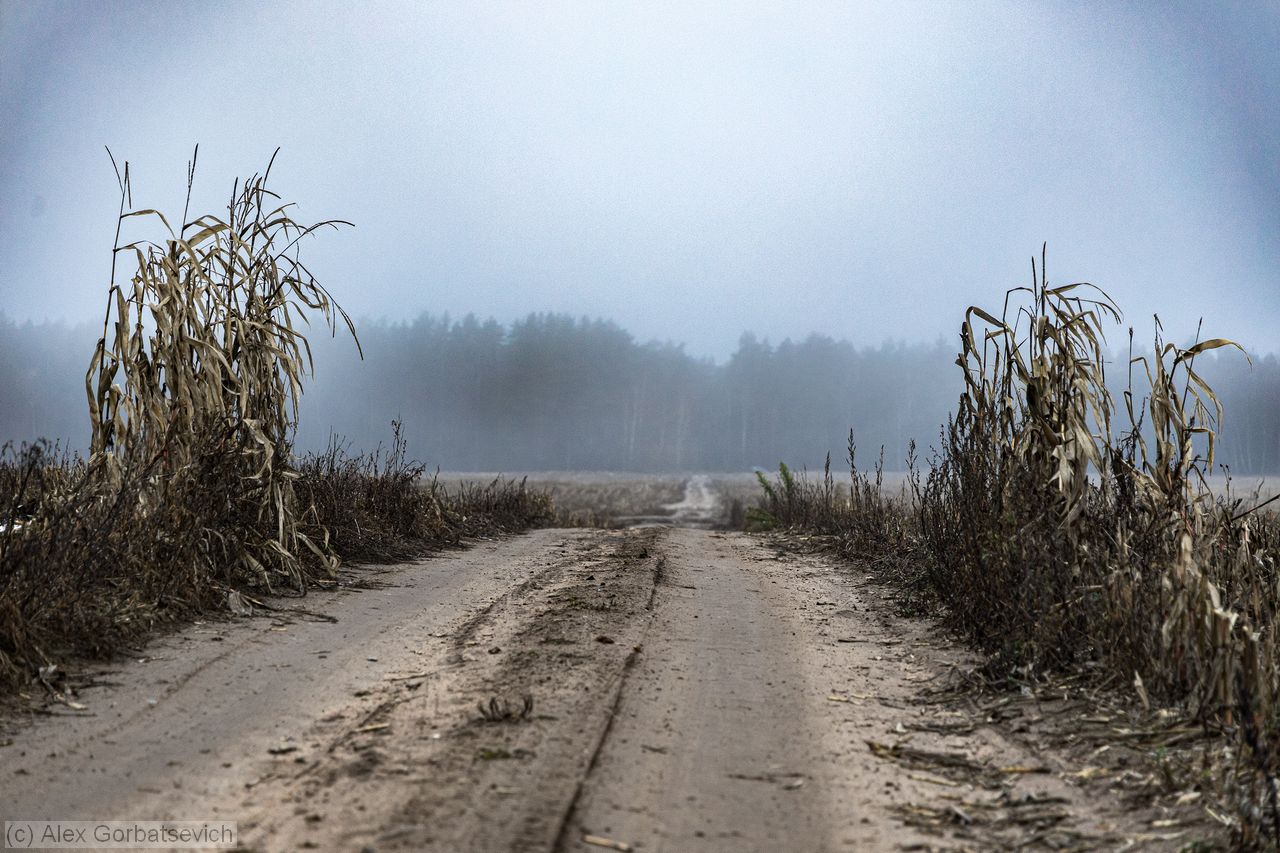 ������� � ������ �����