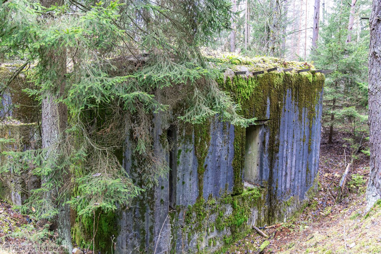 ����� � ����������� �������