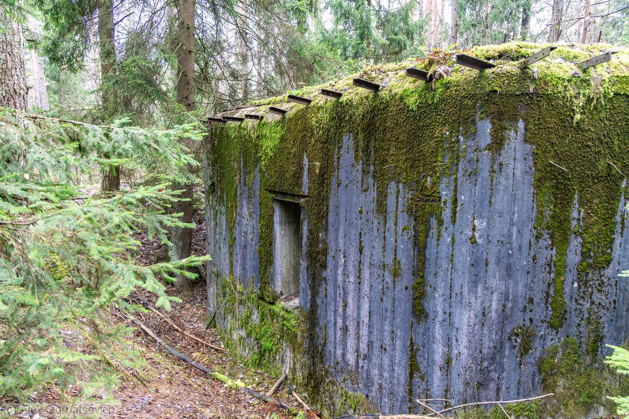 ����� � ����������� �������