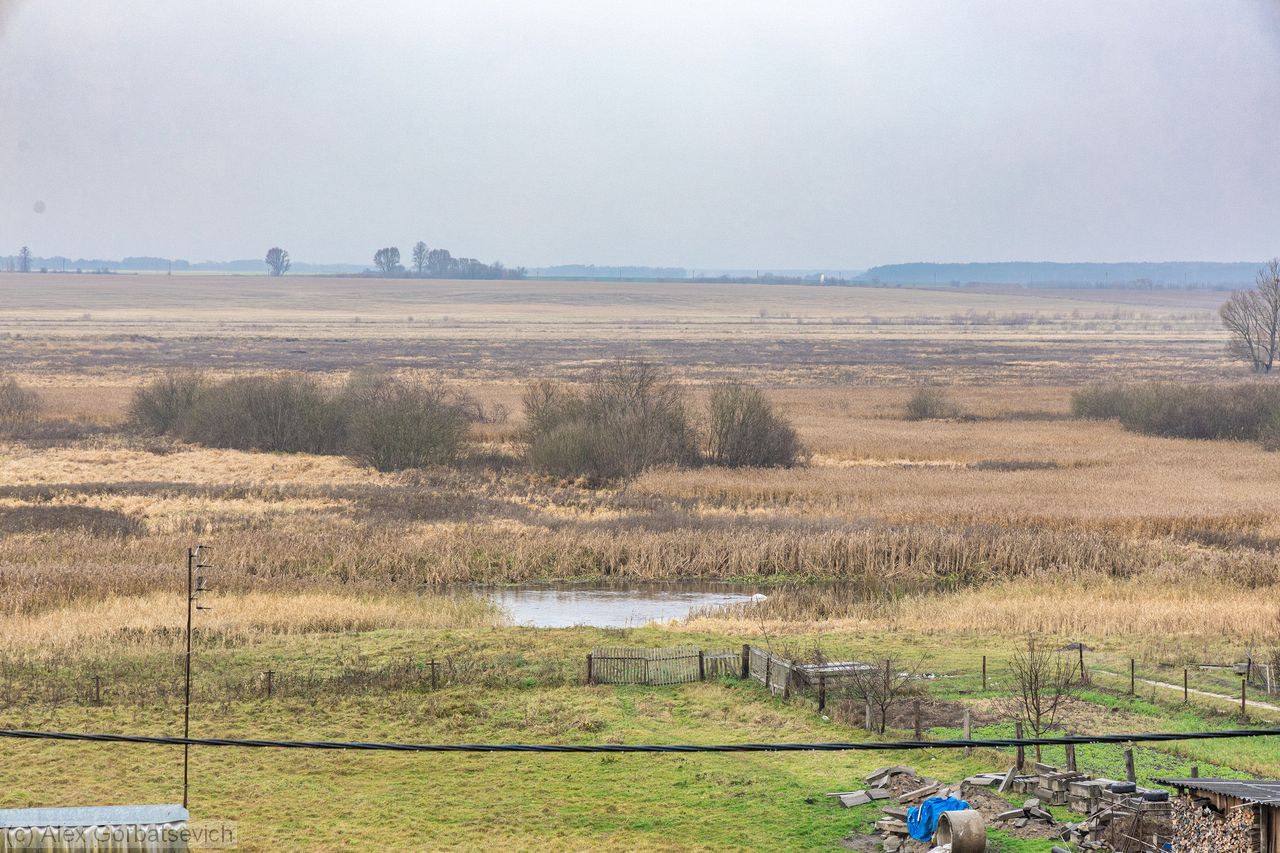 ��� �� ��������� ������