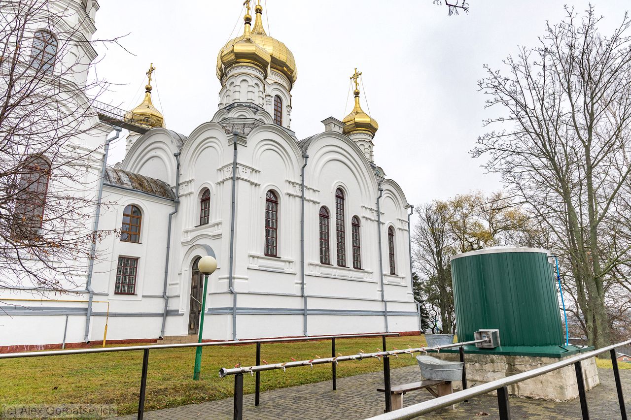 ������ ���� �����