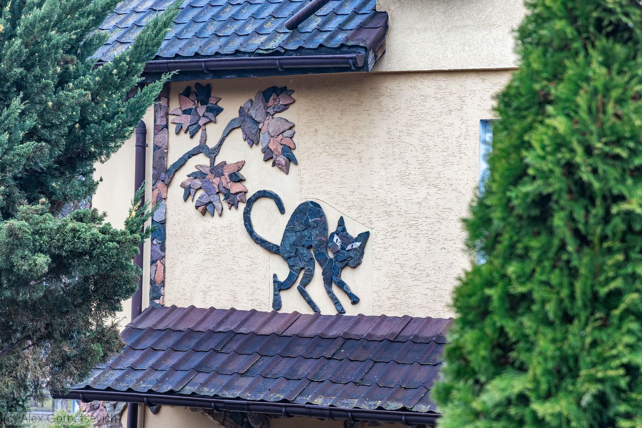 ����� �������