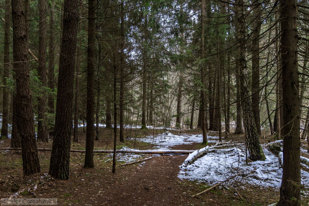 ������� �������