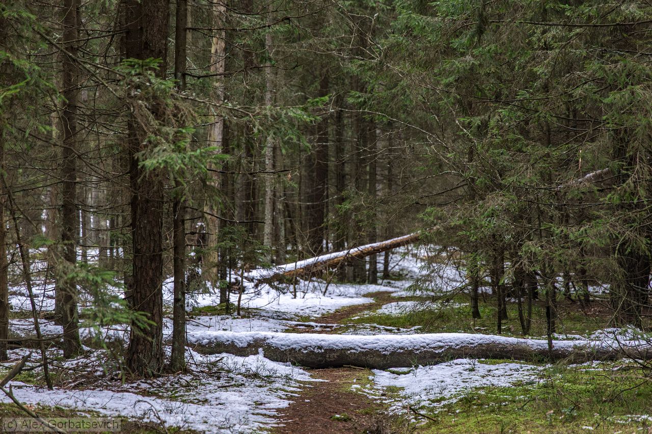 �������� � ����