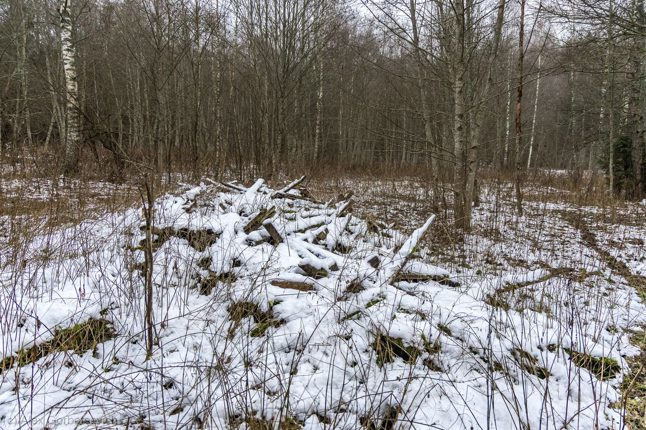 ����� ����