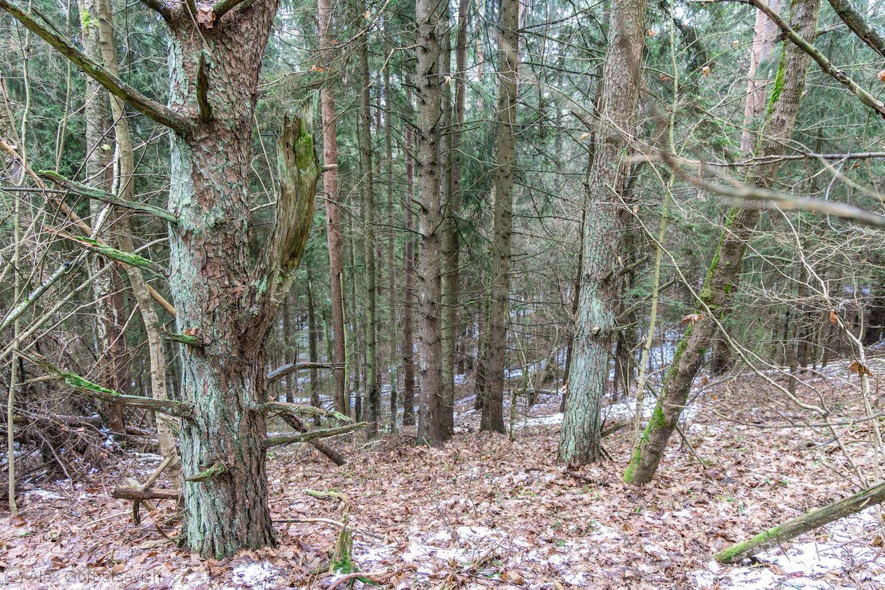 �����