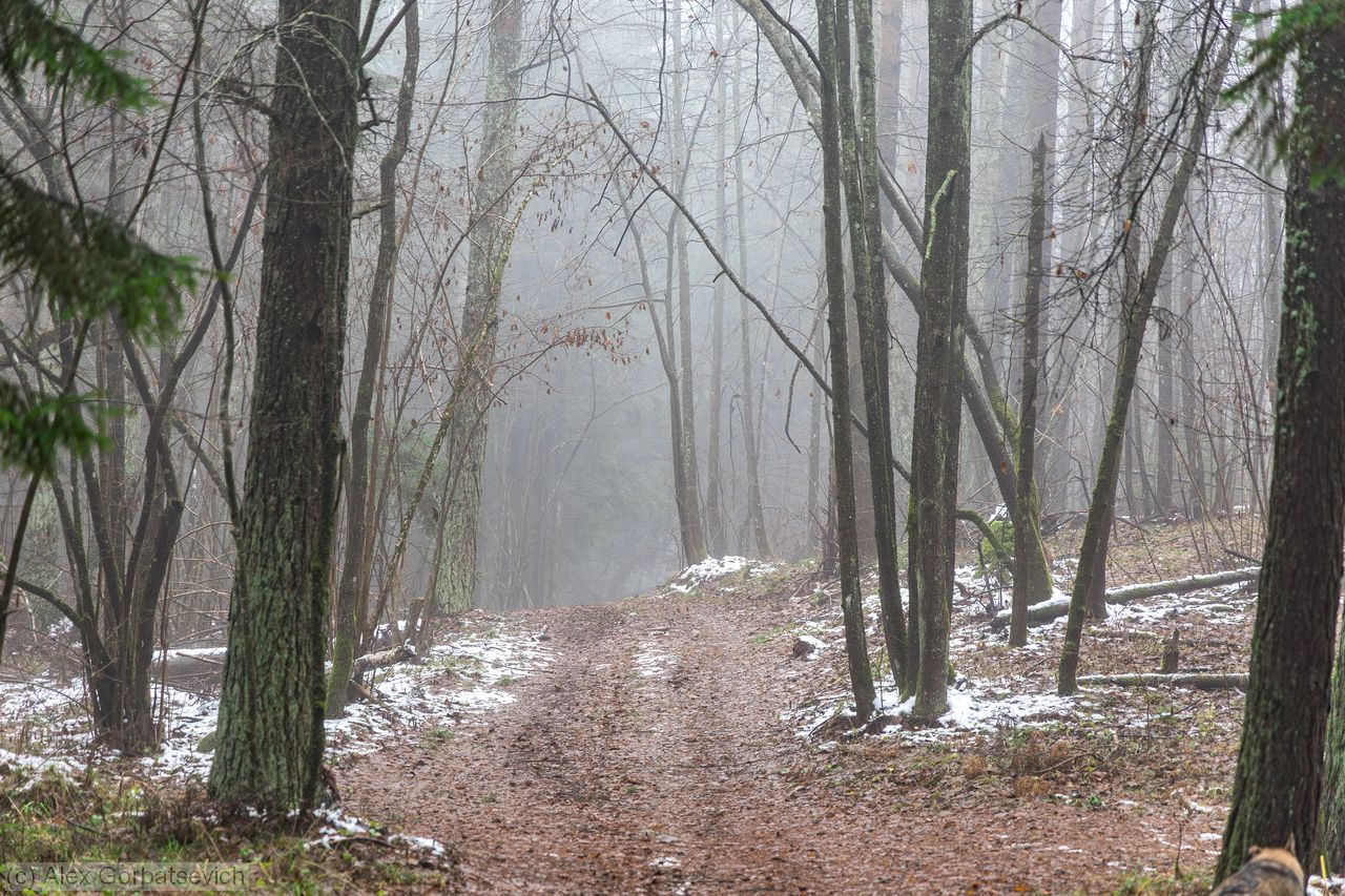 ���� � �������������