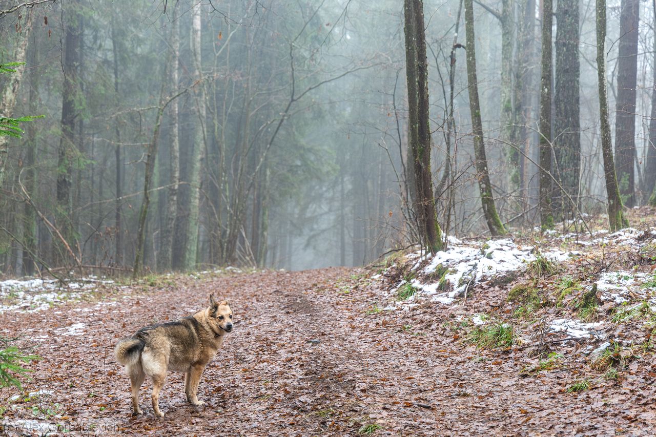 �� ��� �����?