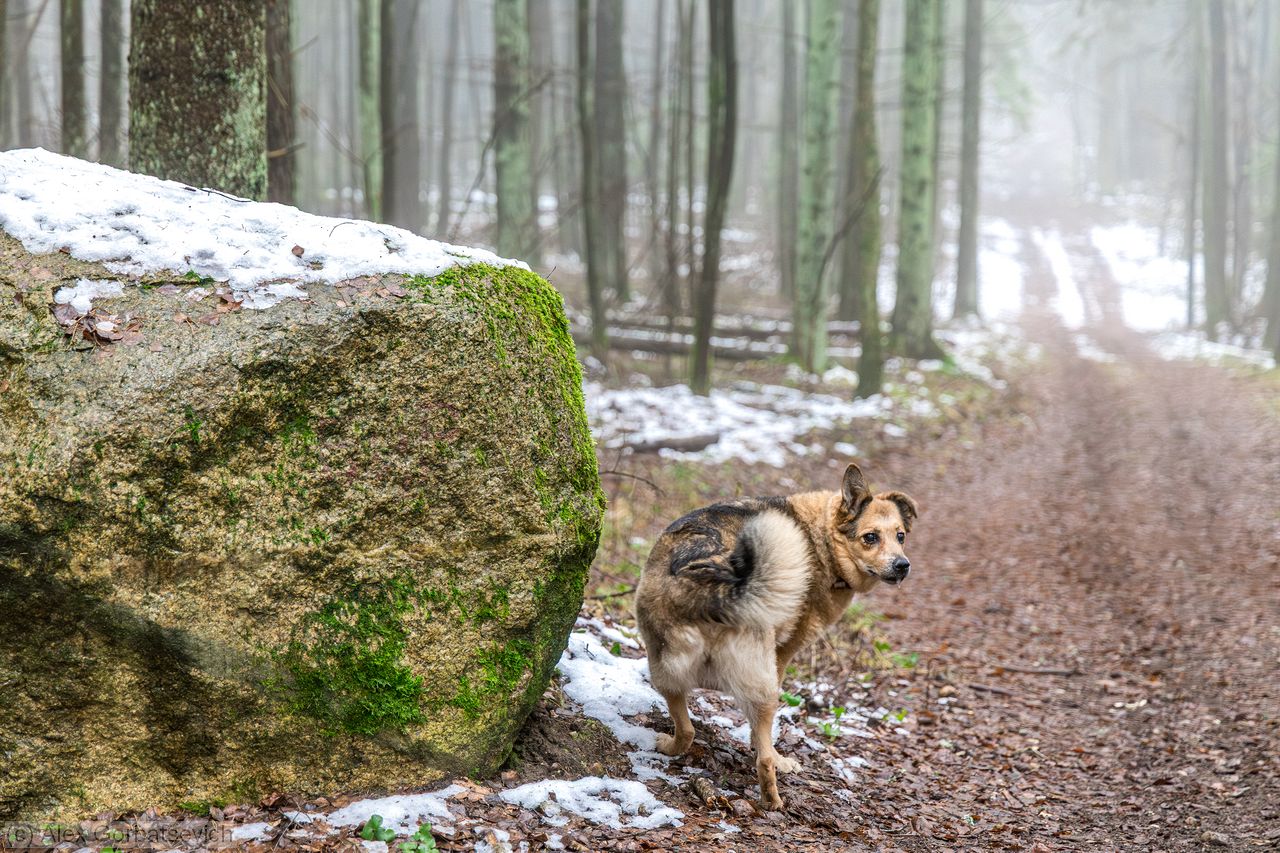 � ��� ����� ���� ��?