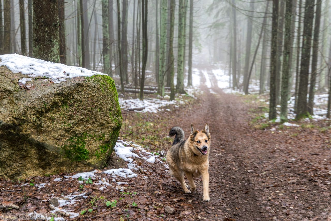 ���. � ���� ������