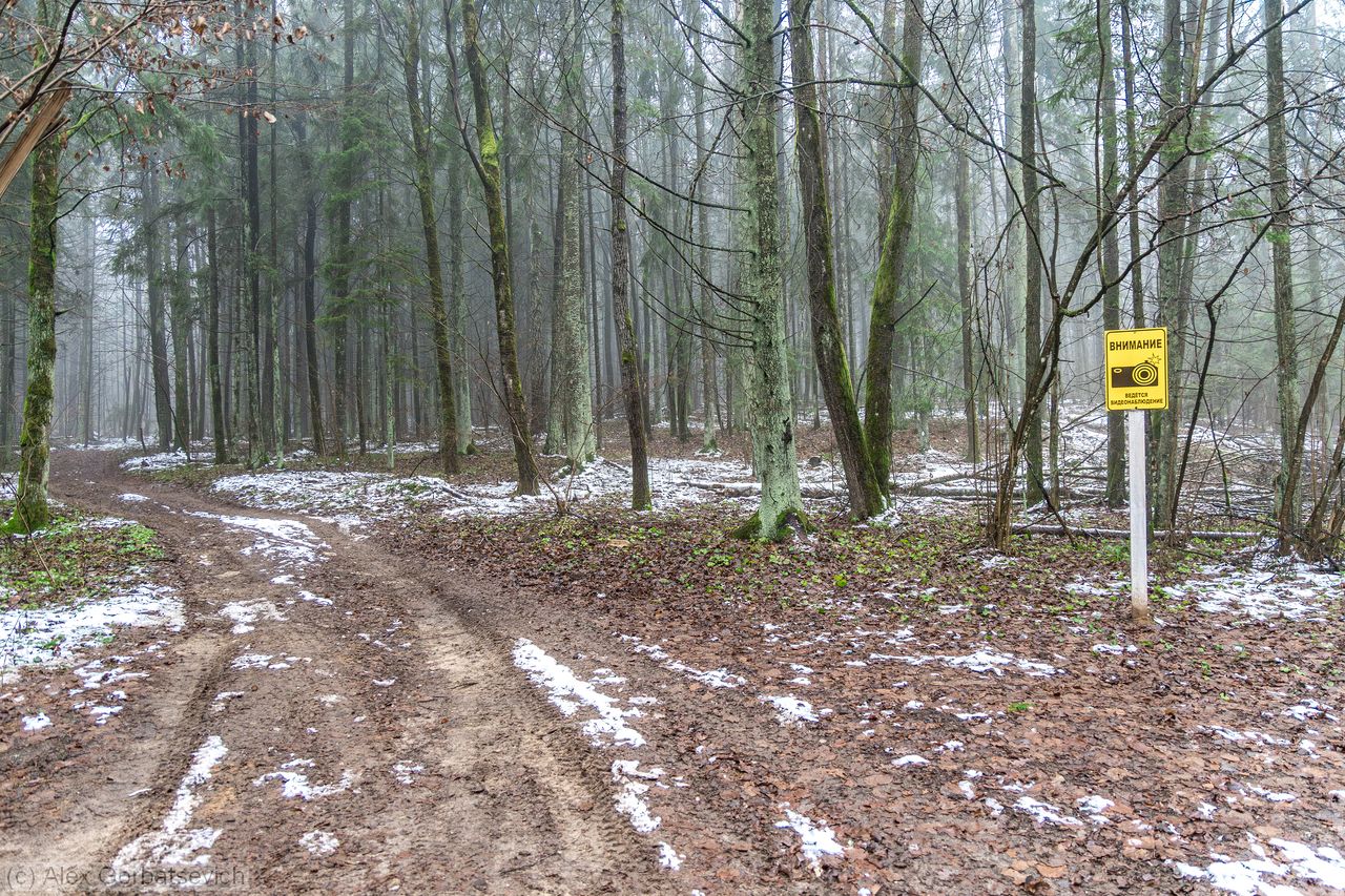 ���������. ������������