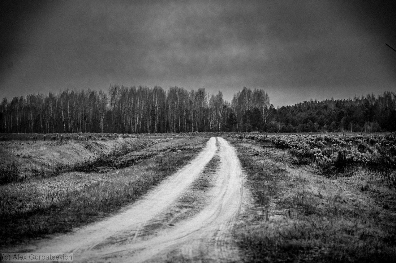 ������ ����� ����