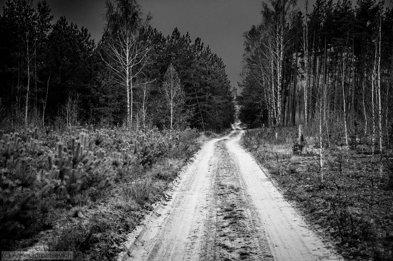 ������ ������