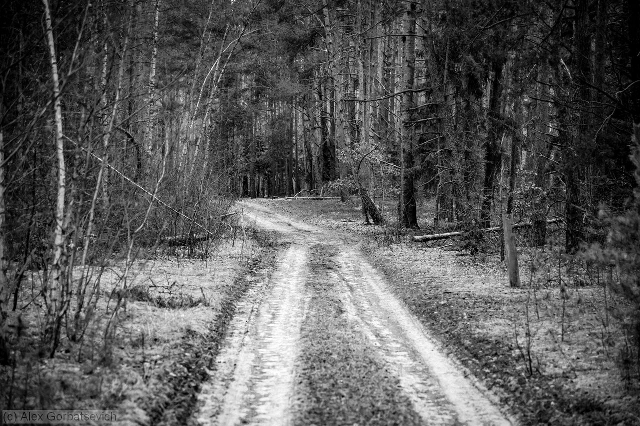 ������ ������