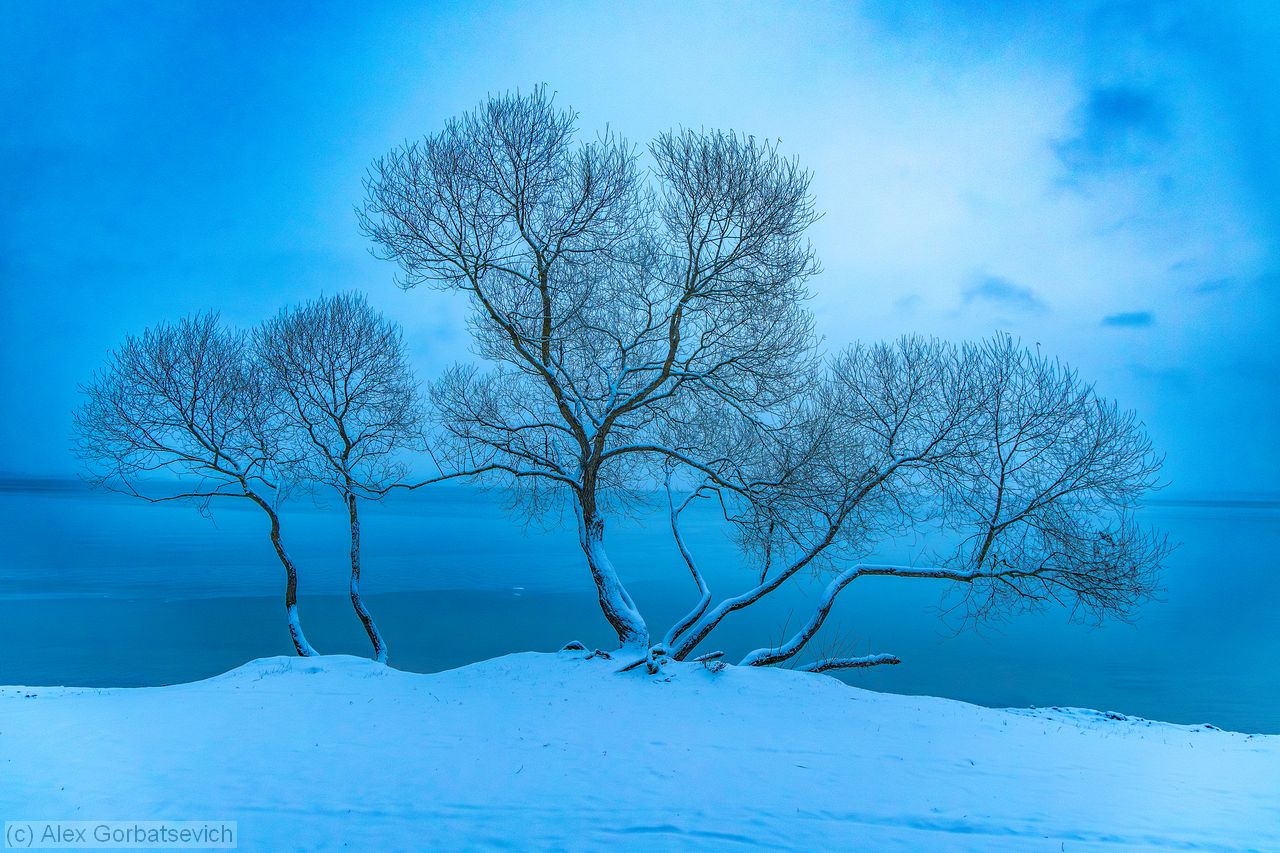 3 ��������