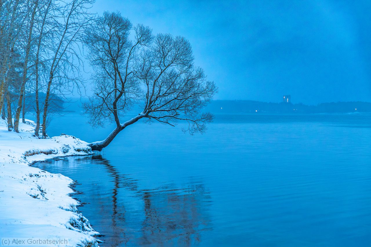 ���������