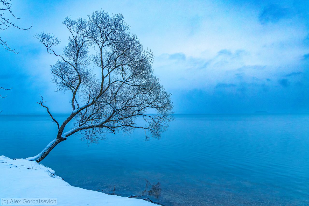 ��� �����