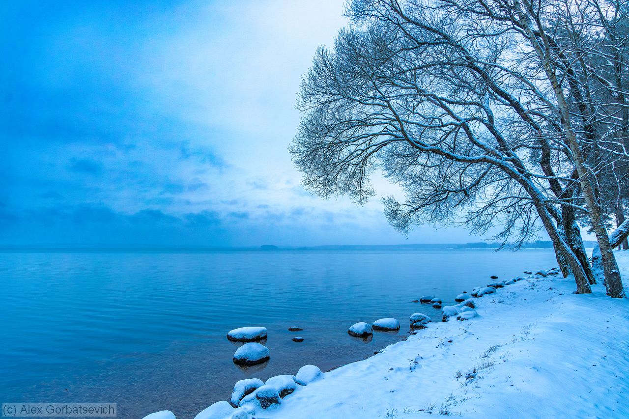 �� ������