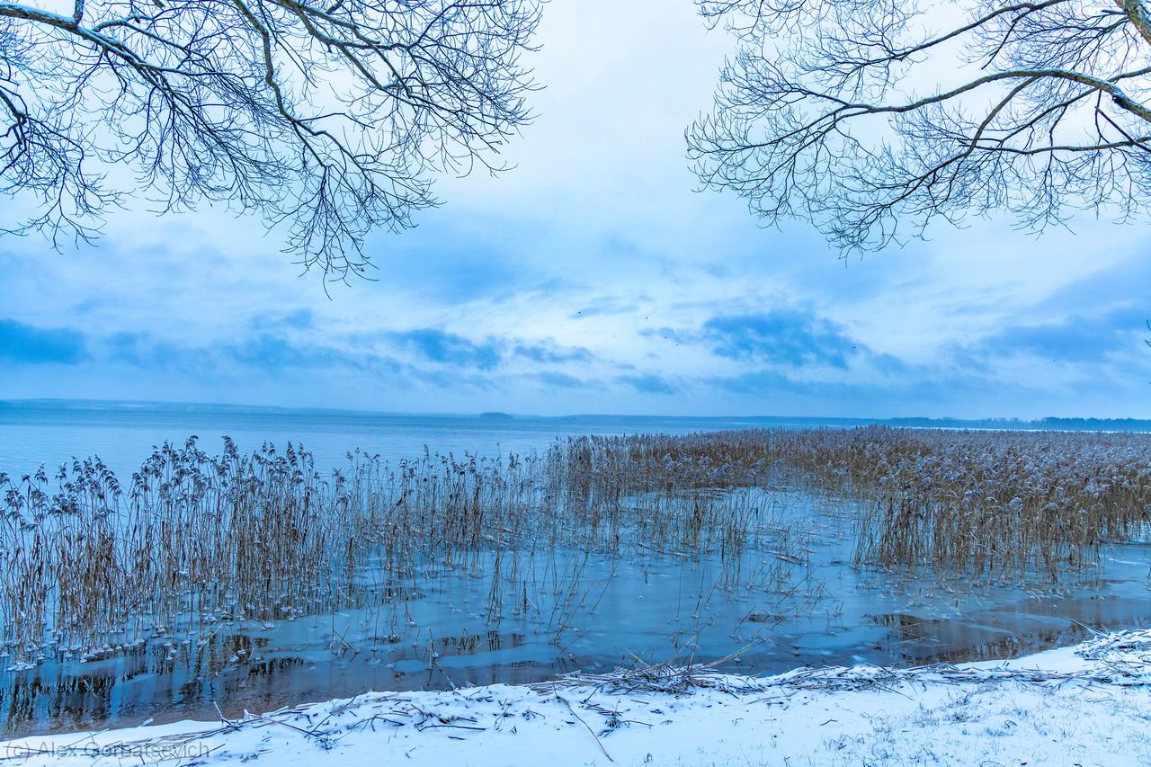 �� ������