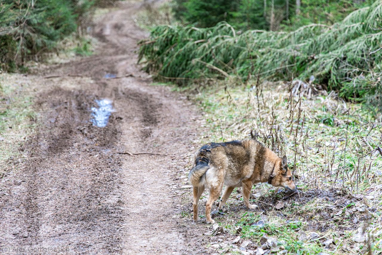 �� ������