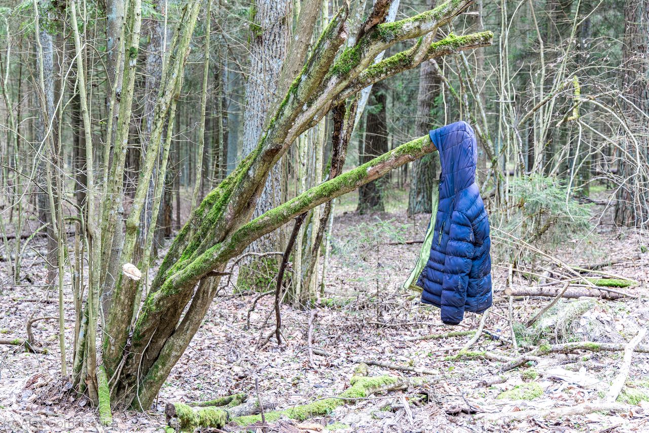 ������ ��� ������