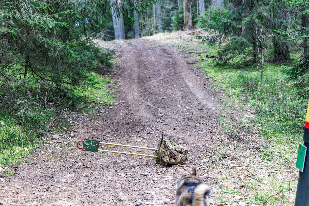 �������� ������