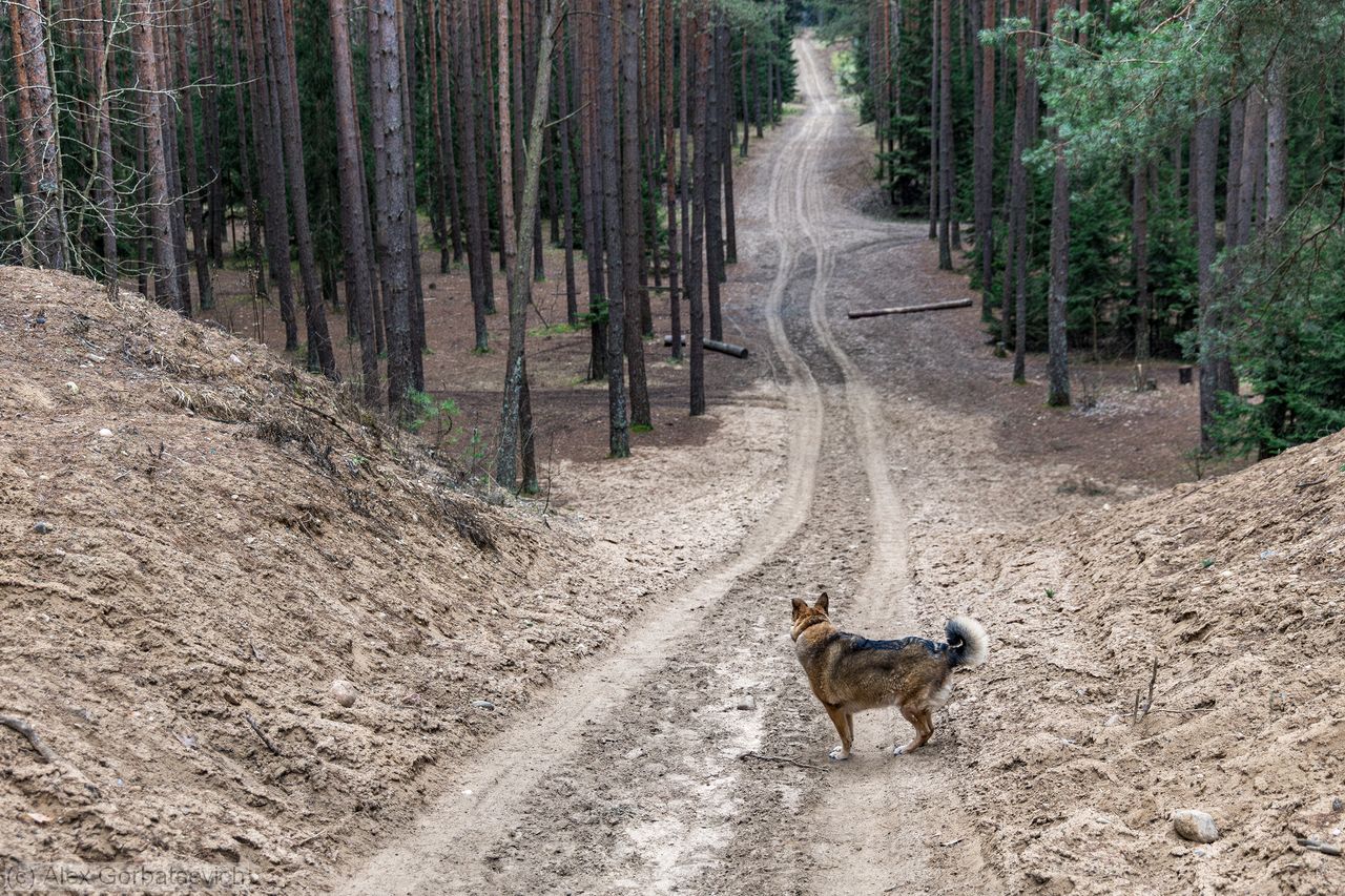 � ��� ����� ����?