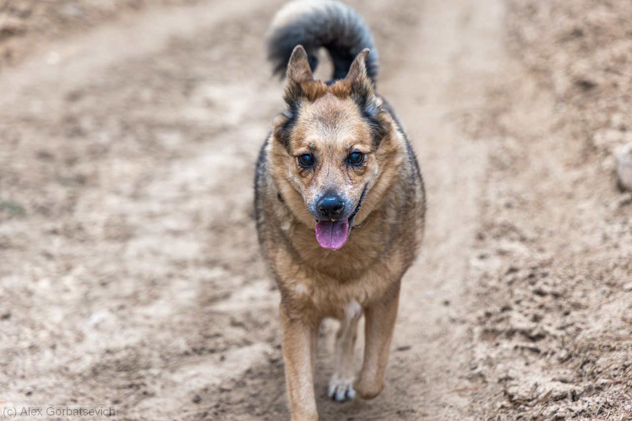 � ����� ���� �����?