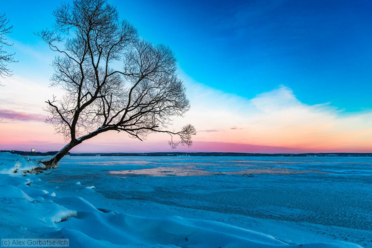 �������