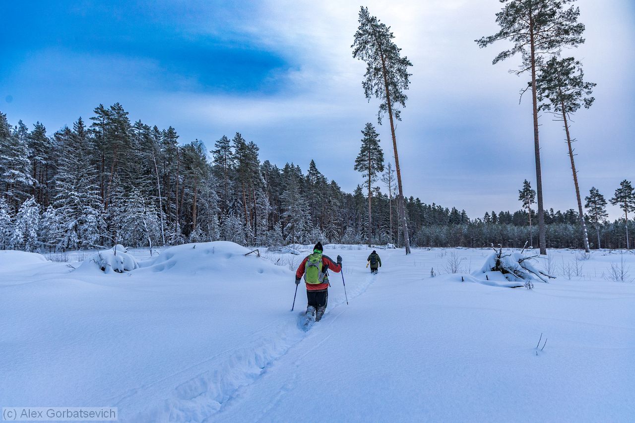 � ������ ��