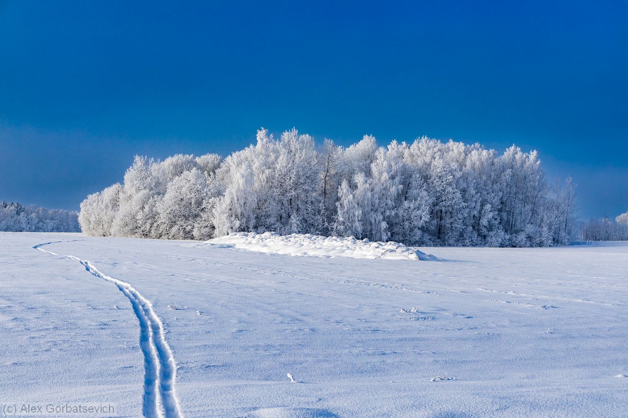 ������ � ���