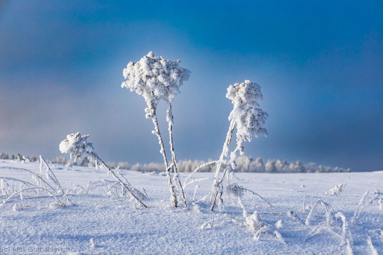 �����. ������ �����