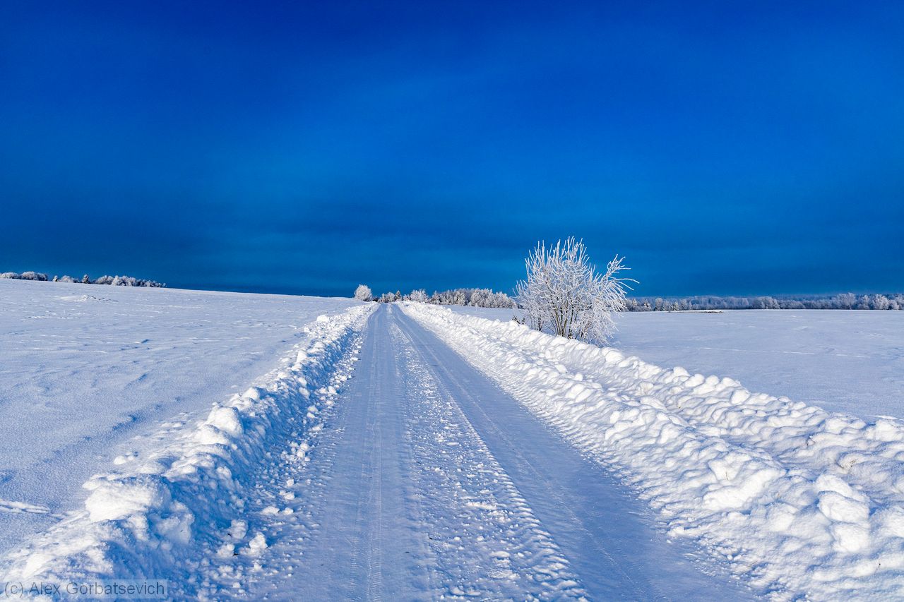 ������ �