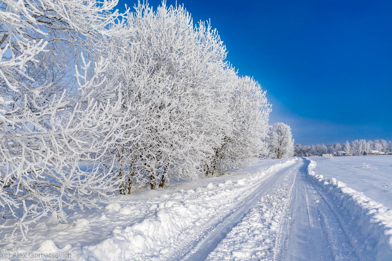 �������� ������