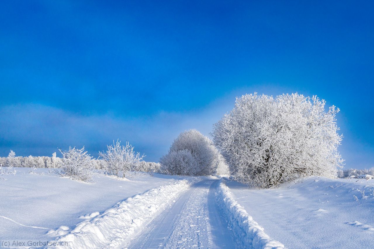 �������� �����