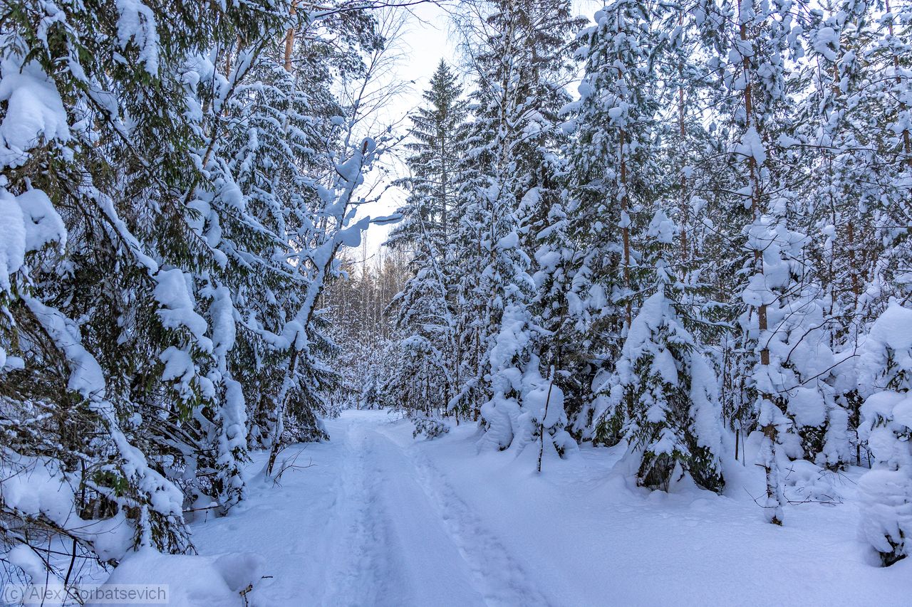 ������ � ����