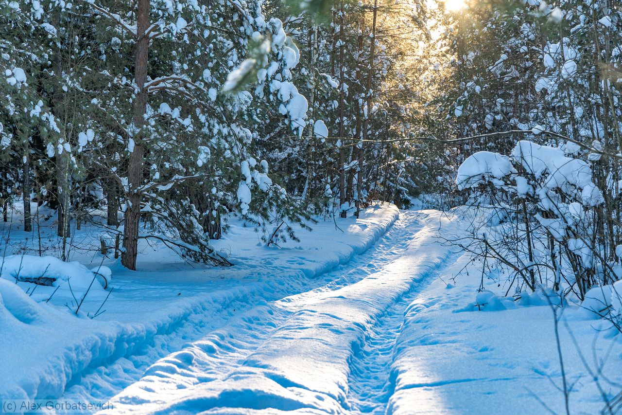 �� ������� ������