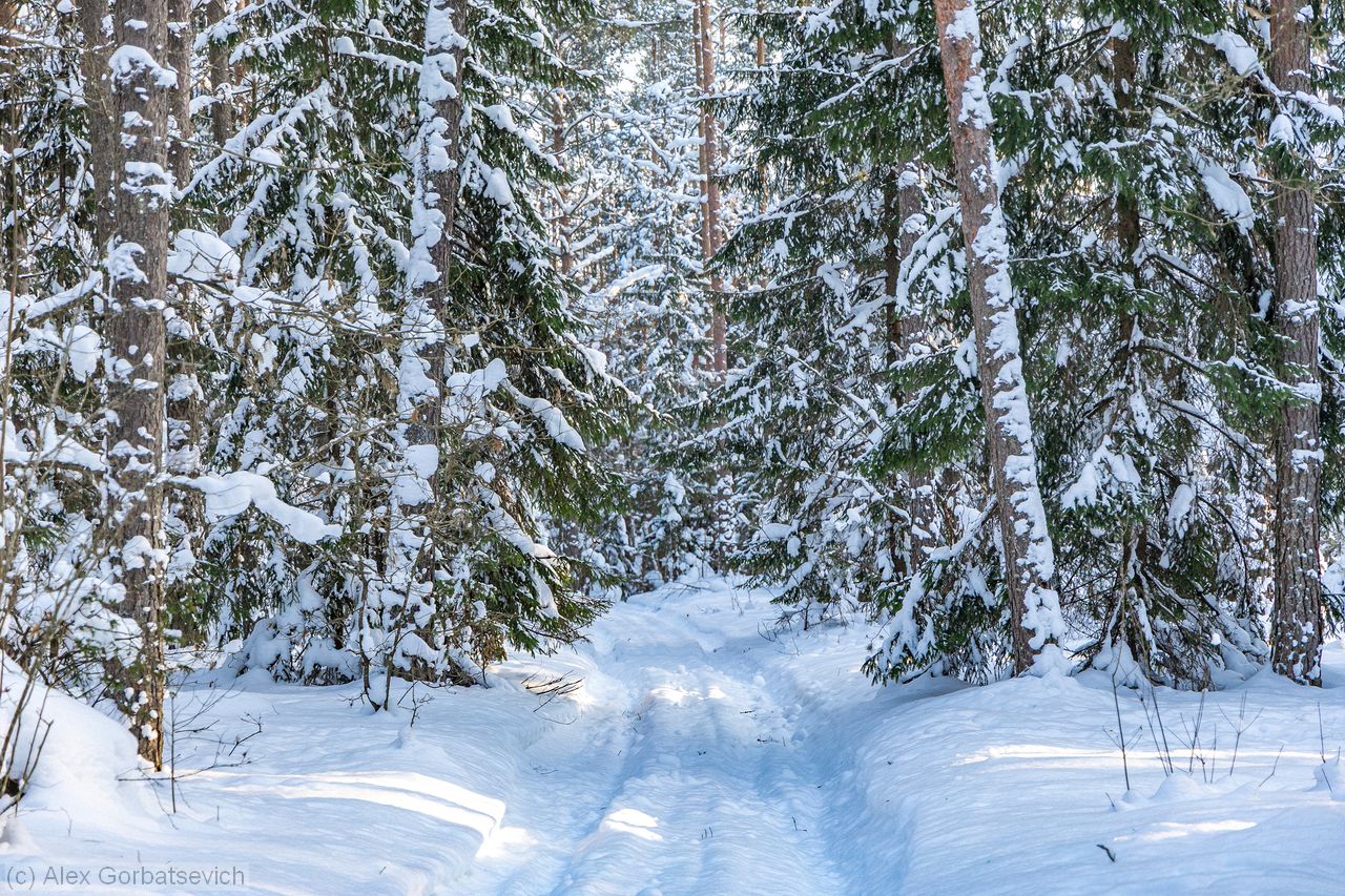 ������ � ������ ����