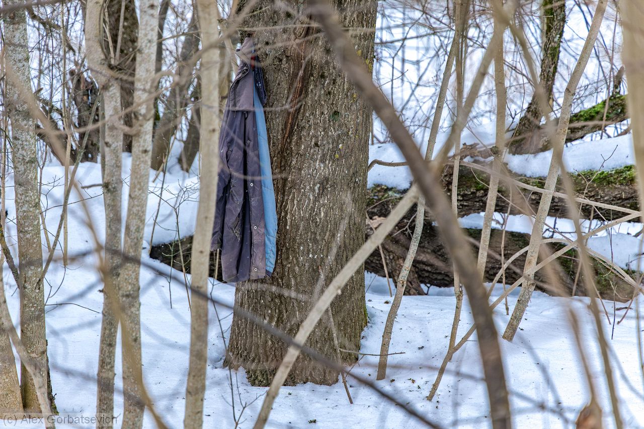 ����� ���-�� ����� ������