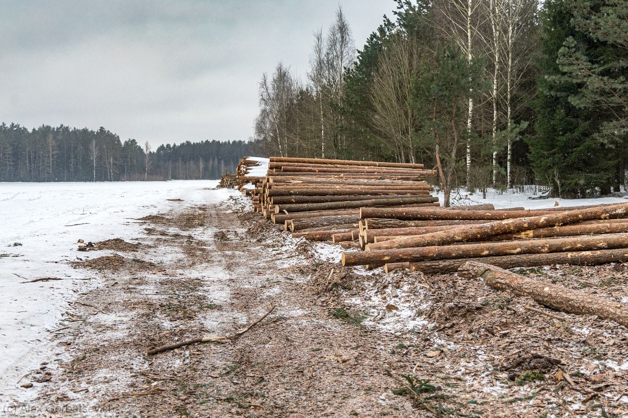 �������� �������