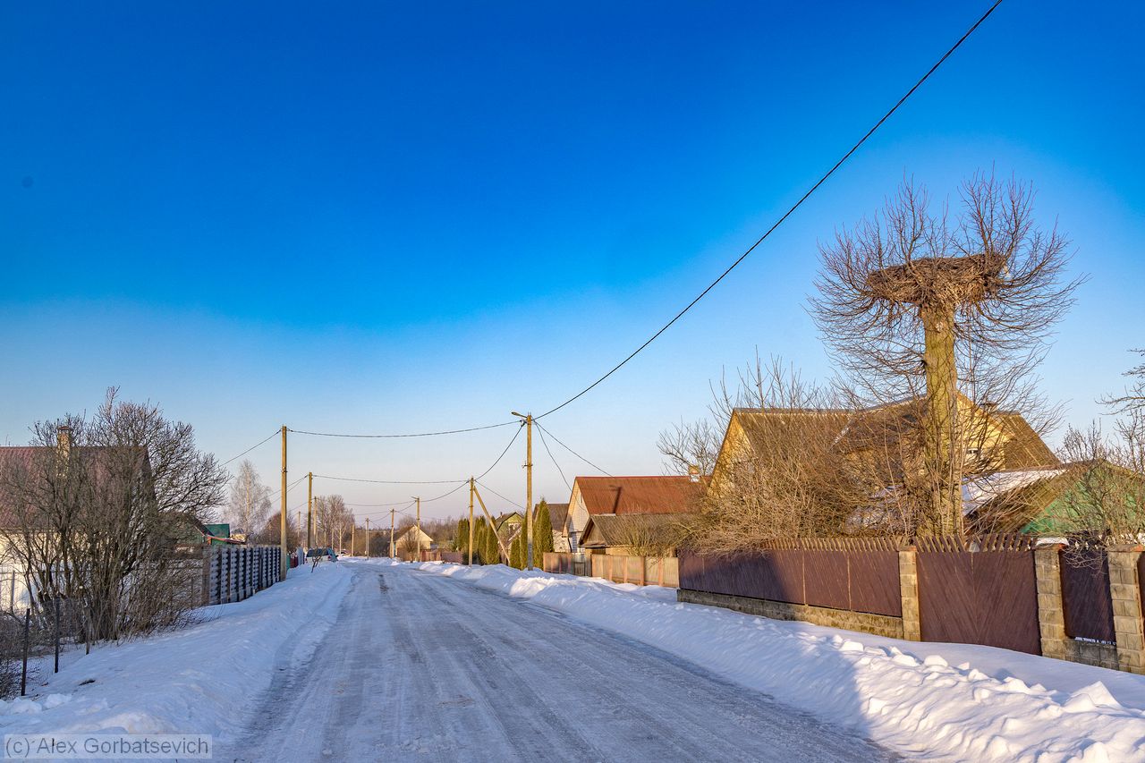 ������ ���������