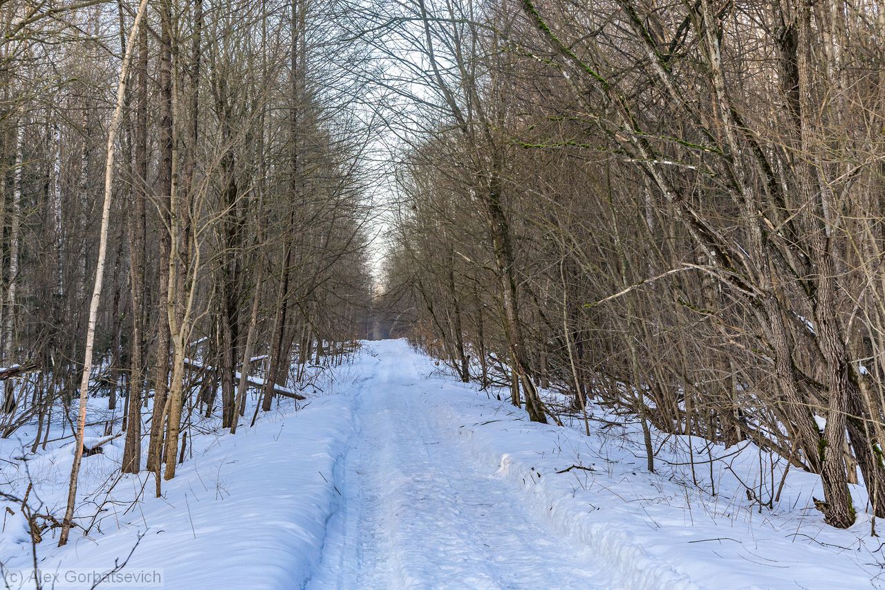 ������� � ����