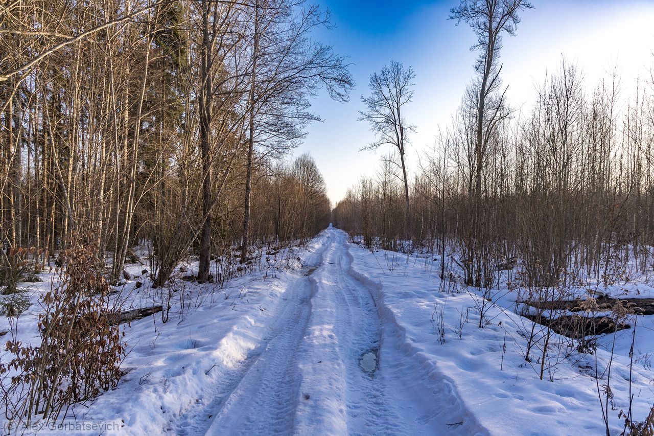 ������ � �������� ����