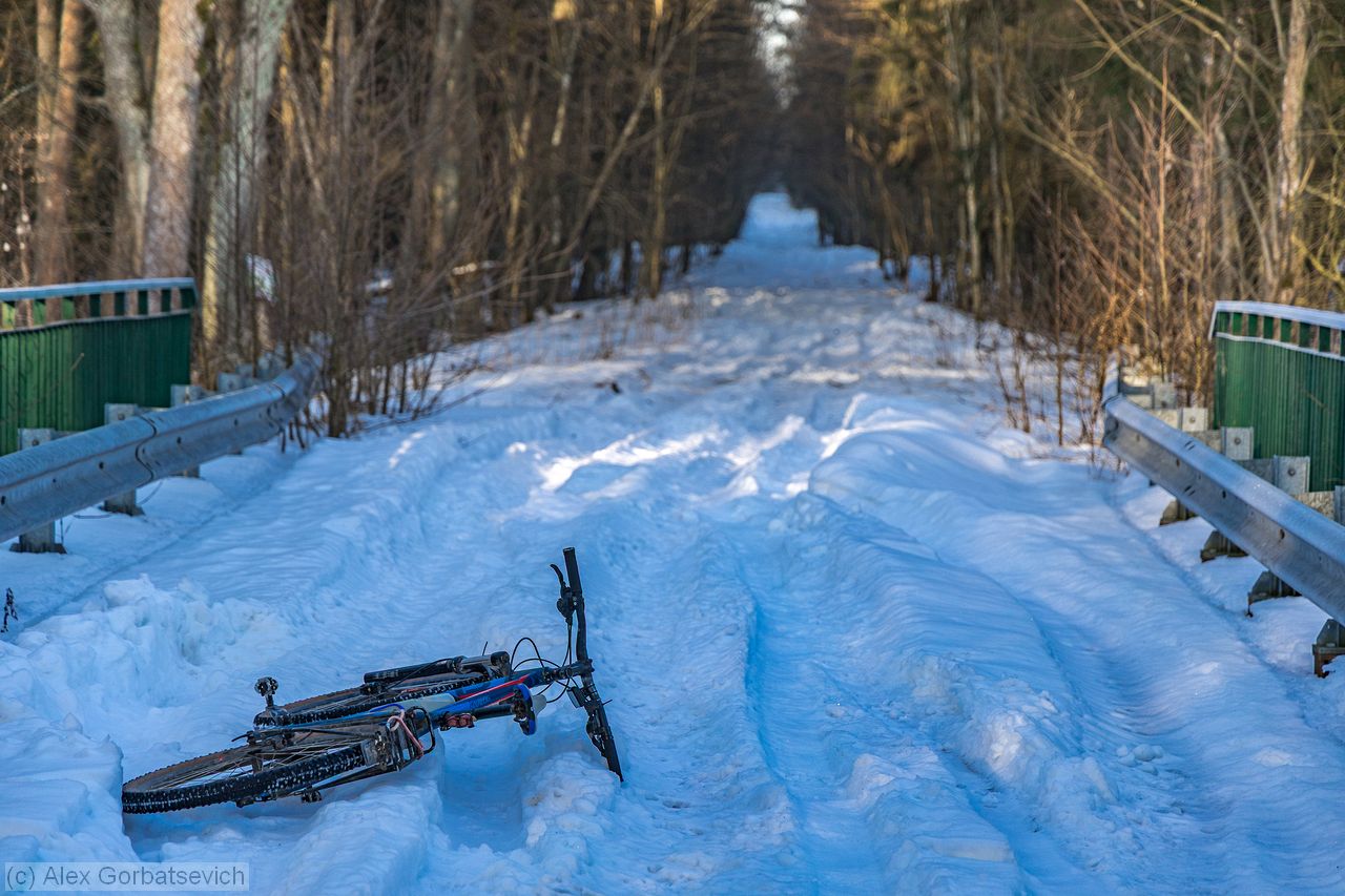 ������ ���������