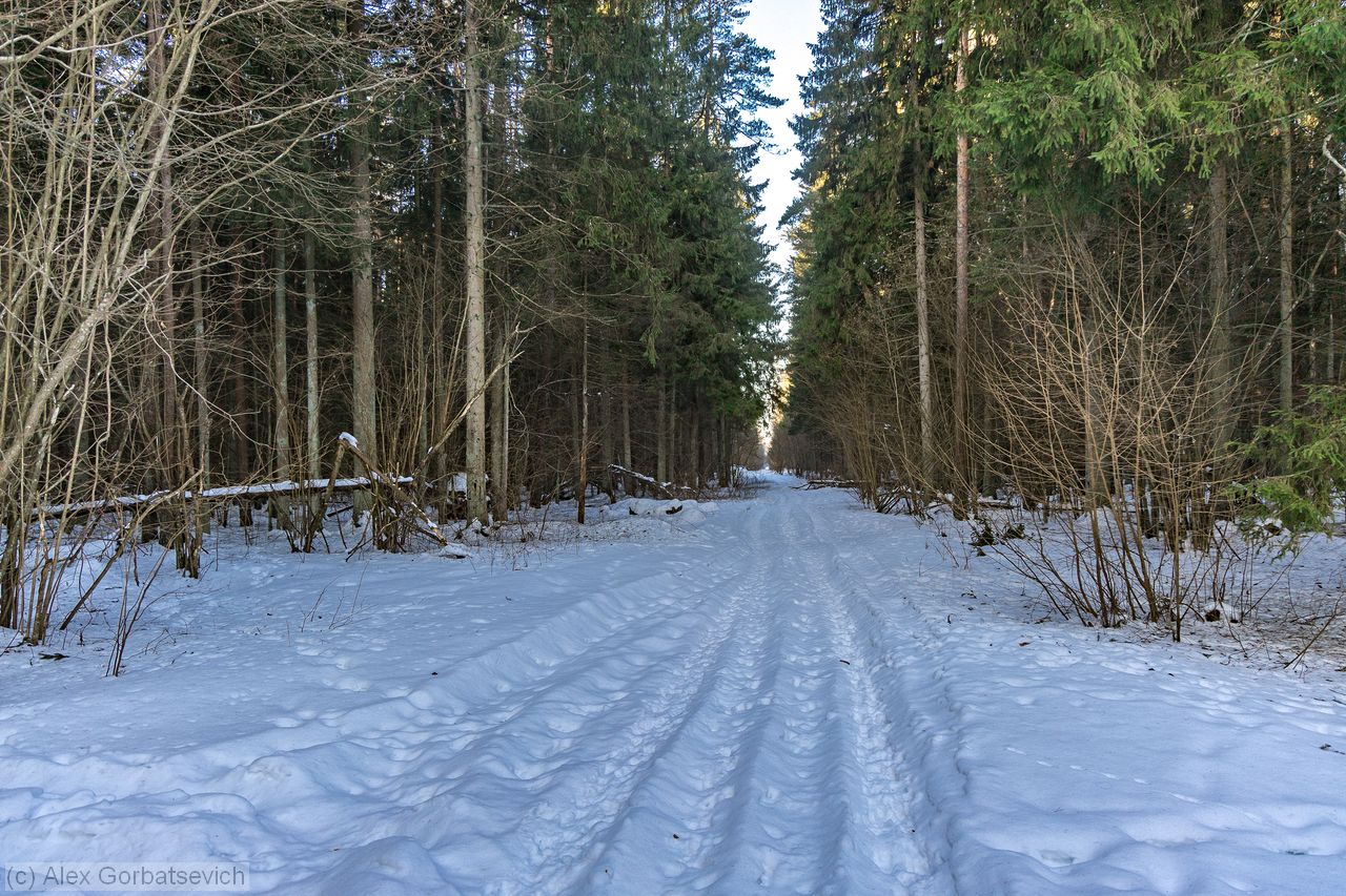 ������ � ����